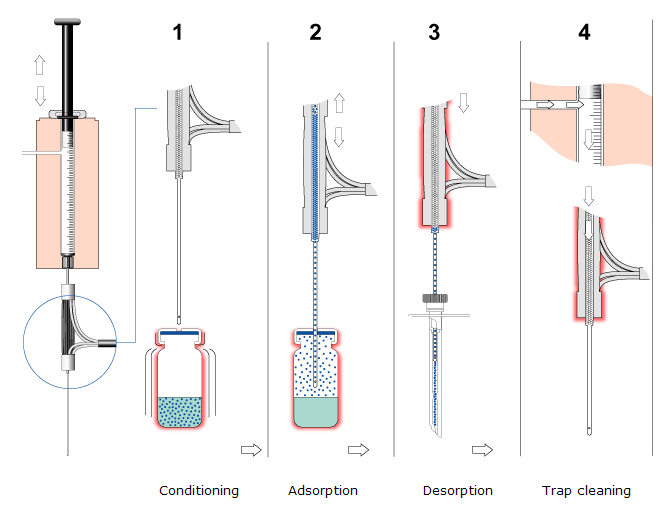 Image:ITEX_steps.png‎